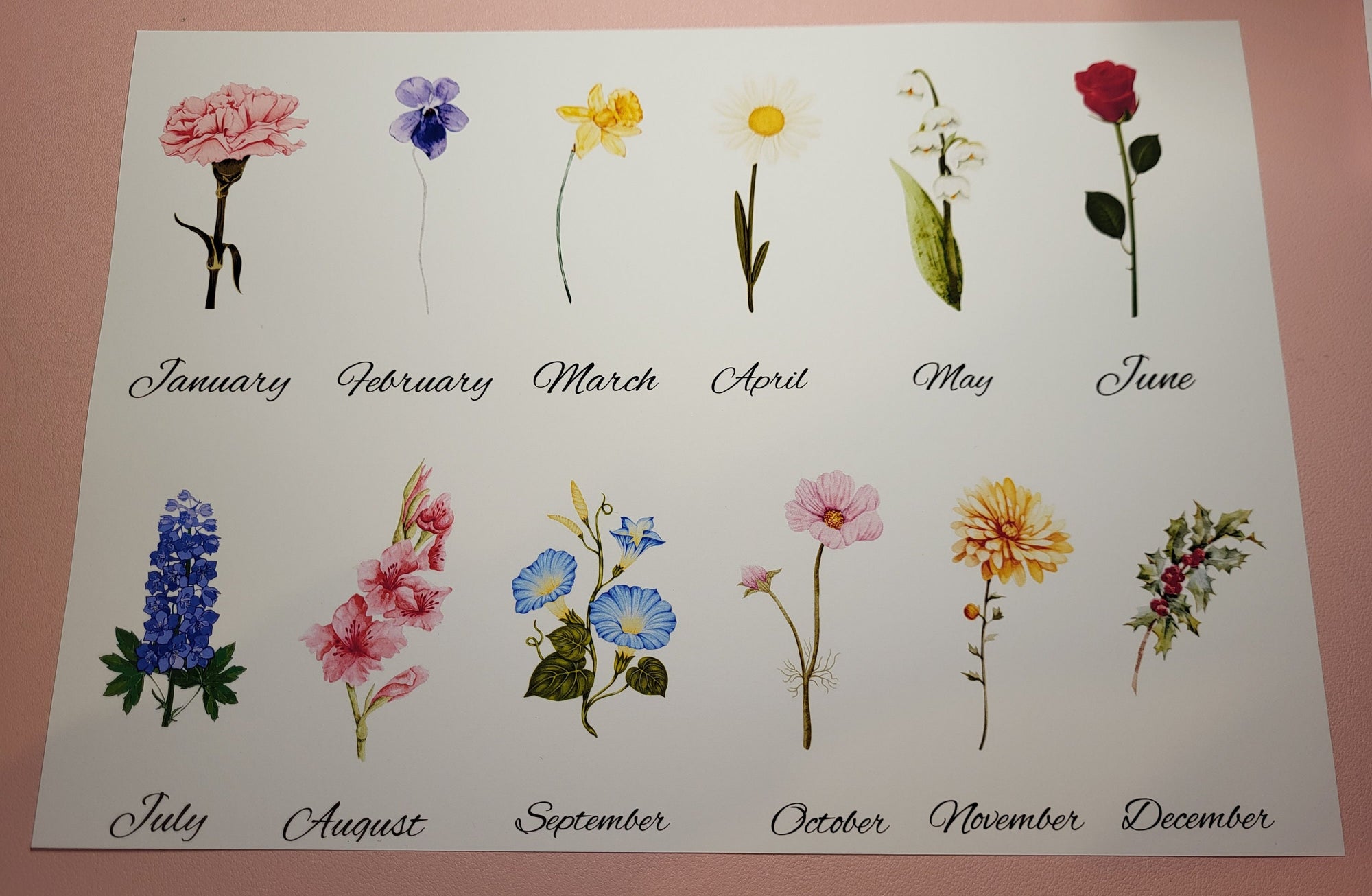 Birth Month Flowers Calendar | Watercolor Floral Illustration | January-December
