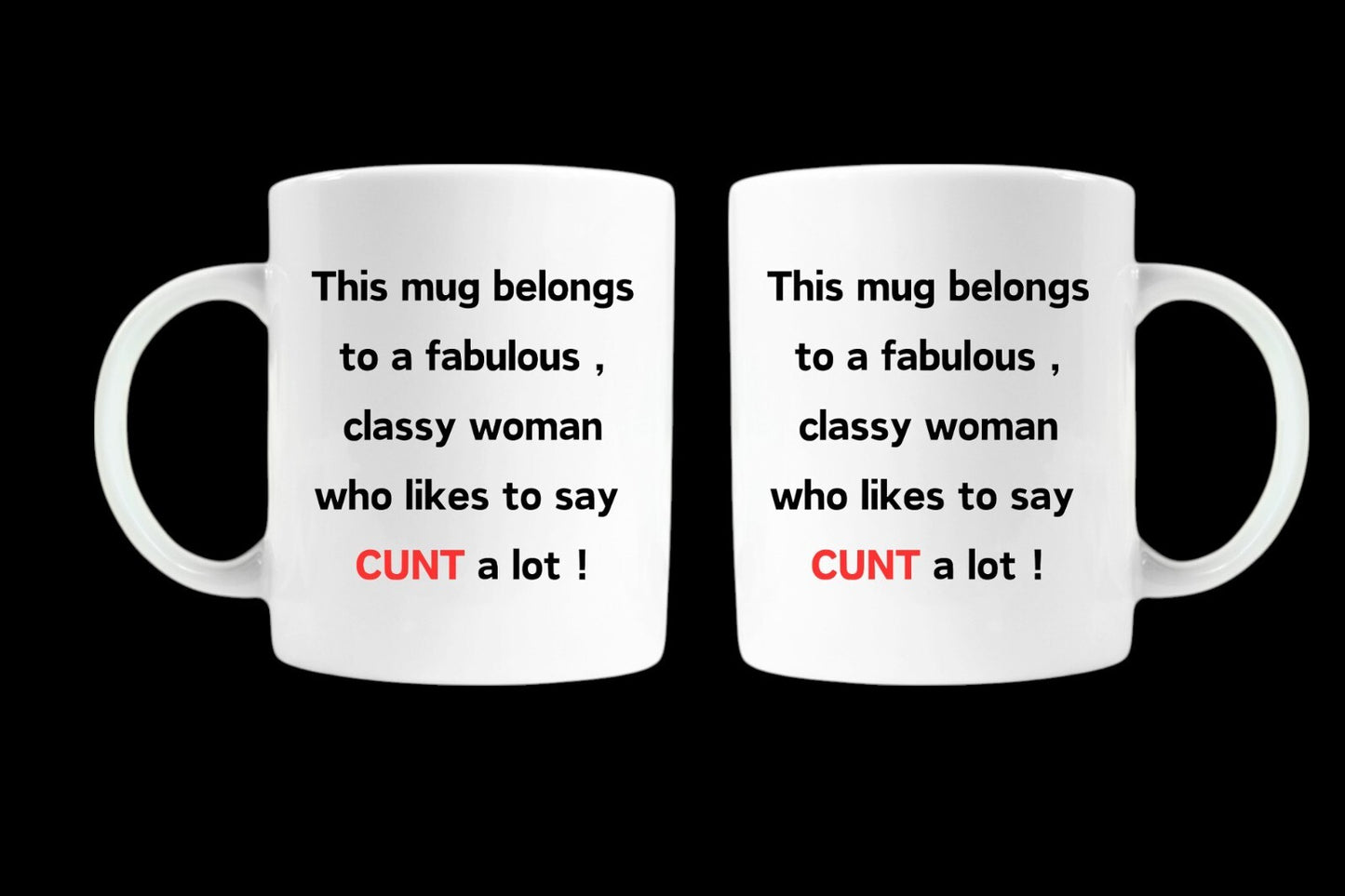 funny novelty sweary mug birthday adult gift fabulous classy woman