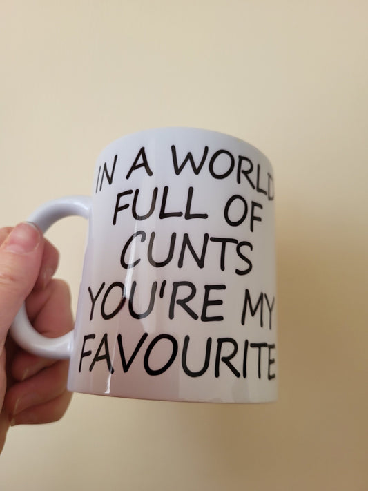 In a world full of c**ts mug funny sweary gift | Christmas gift |Funny birthday gift