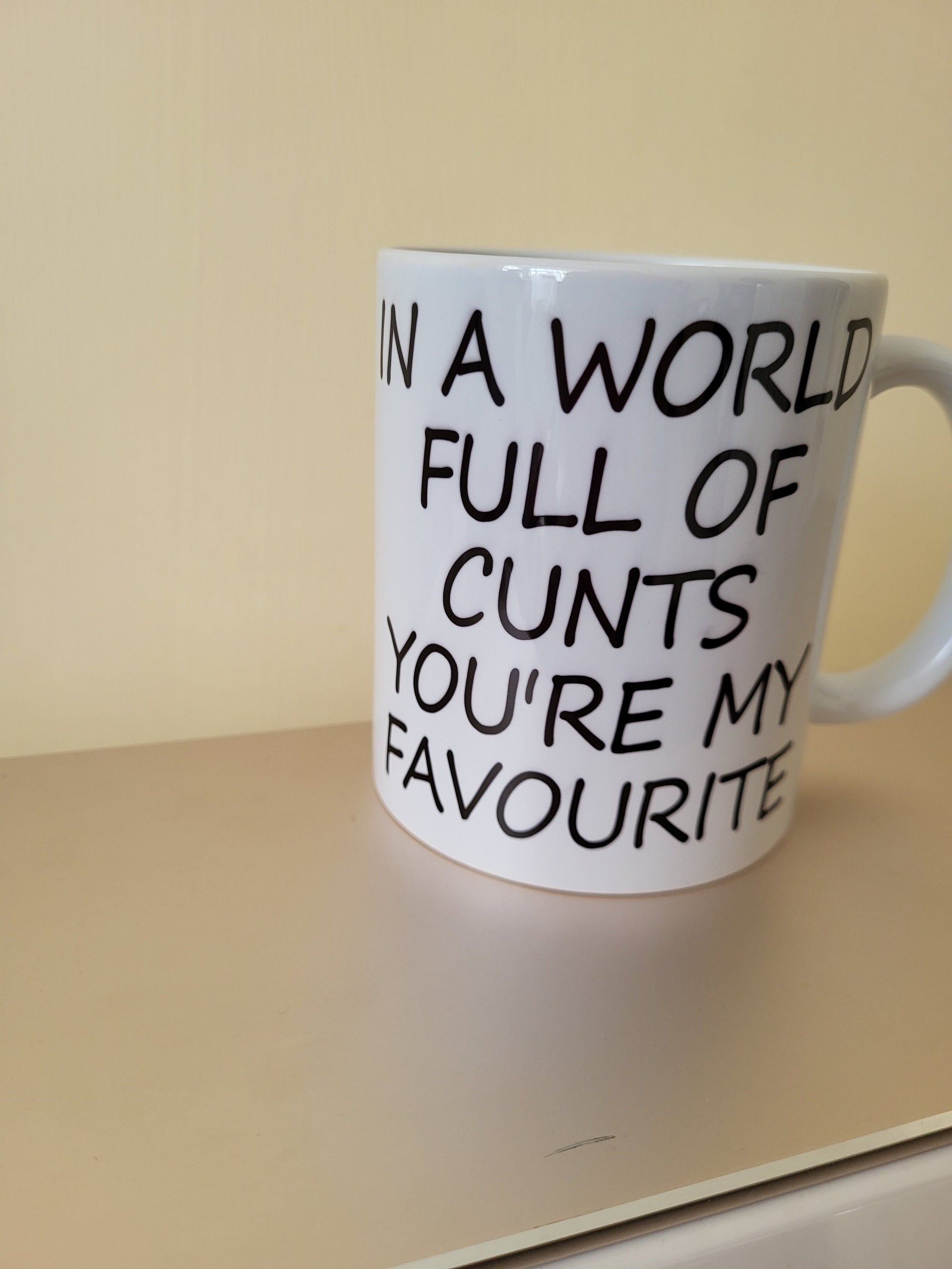 Offensive Mug: In a world full of c*nts, you're my favorite. Funny coffee cup for sarcastic friends. Novelty gift idea.